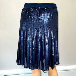 Banana Republic | Sequin Pleated Navy Skirt | Size 6